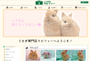 うさぎ専門店ラビファー小平店